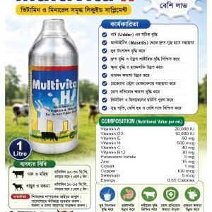 Multivitamin-h